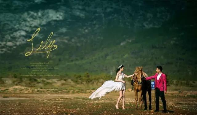 丽江拉市海骑马骗局,丽江拉市海骑马多少钱