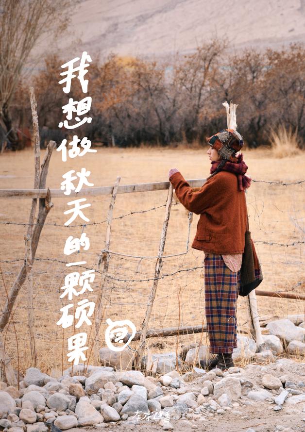 橘毛圈|左岸和他的999种颜色