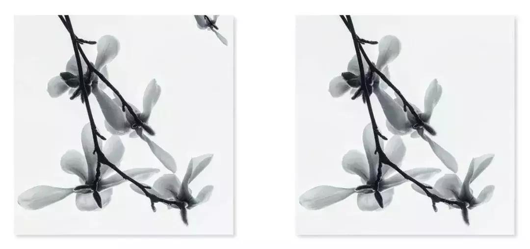 黑白摄影的拍摄方法,摄影技巧怎么才能拍出高端黑白照