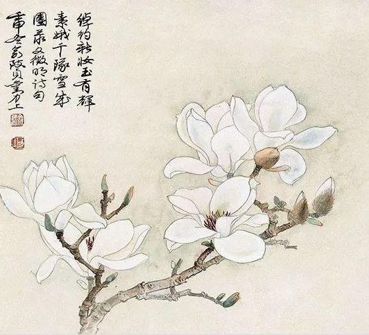 如此高花白于雪,年年偏是斗风开。盛开在诗词中的玉兰花