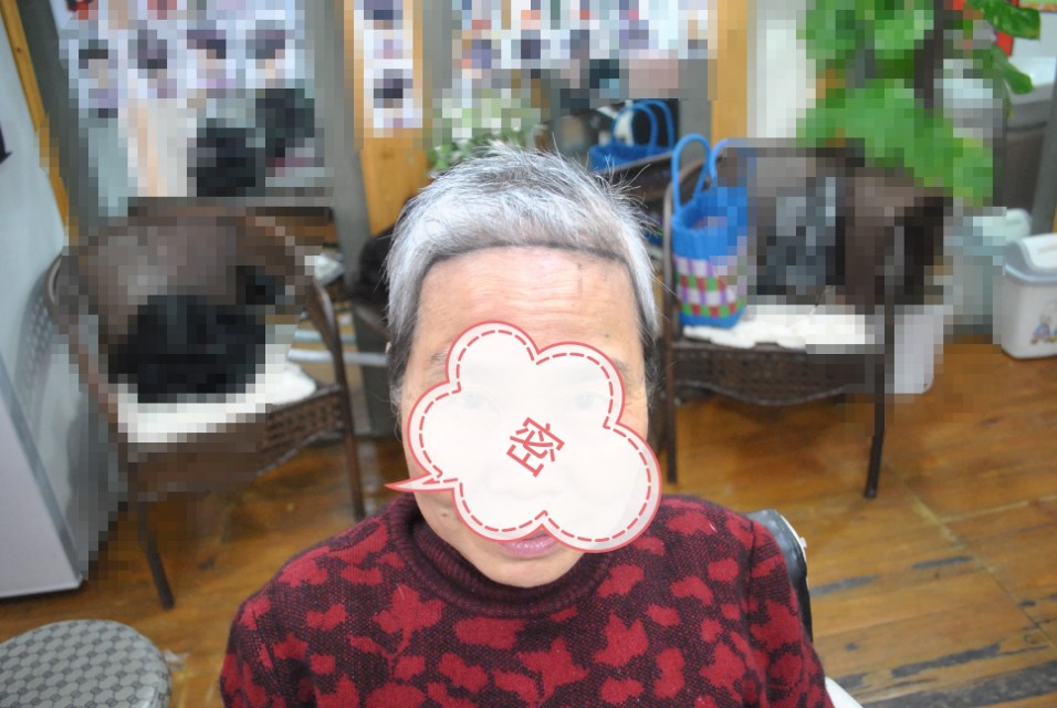 遮盖白发假发真发,遮白发神器假发无刘海