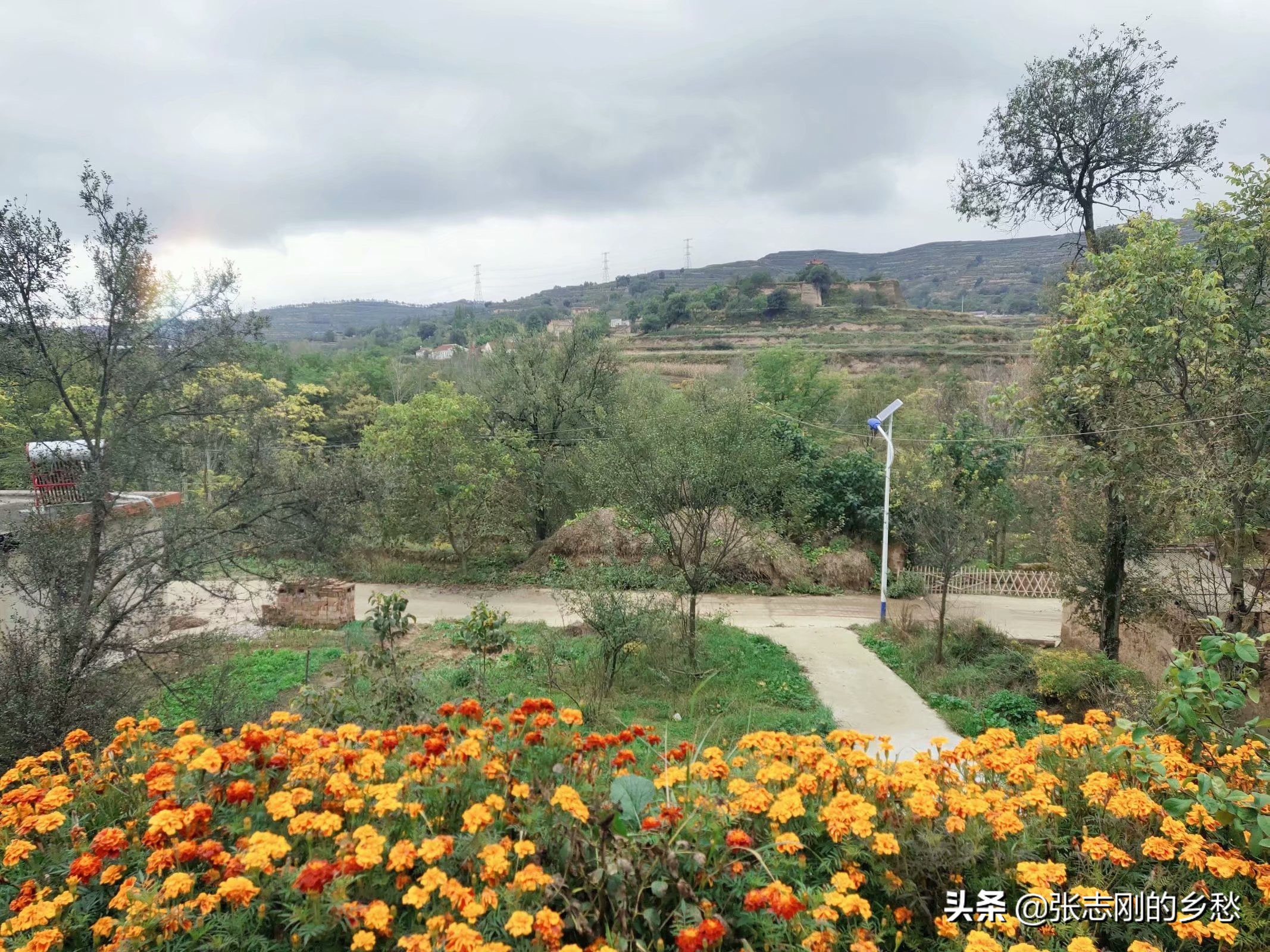 甘谷县金山镇一农民，从深圳一企业辞职之后，对生活的一些感悟