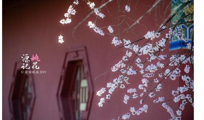 桃花源是鬼村还是仙境,桃花源是个鬼故事吗