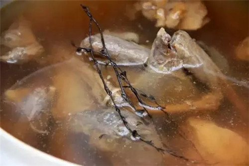 白鹭鸭中国哪里有,我国优秀鸭种