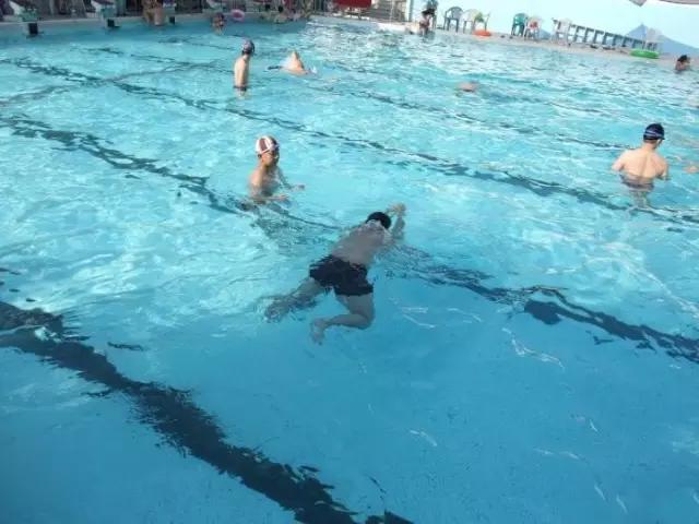 蛙泳教学流程10节课教案,蛙泳教学10节课流程步骤