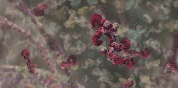 胰岛素是如何导致糖尿病的,胰岛素增多为什么会导致糖尿病