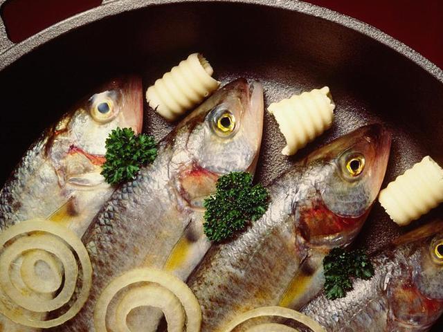 狗狗长期吃鱼饲料会怎么样,狗狗只吃肉和狗粮对身体好吗