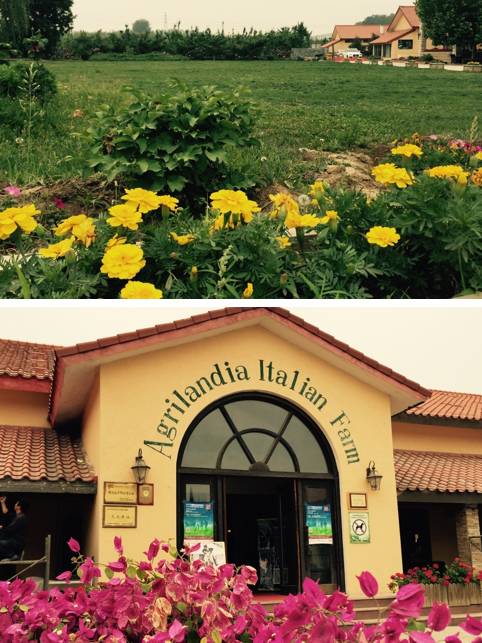 六一儿童节陪孩子怎么过节,六一怎么带孩子玩