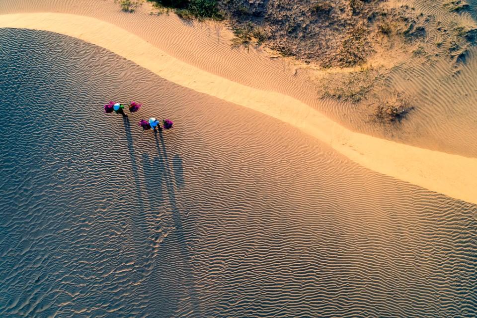 越南旅游胡志明攻略,越南胡志明市自由行