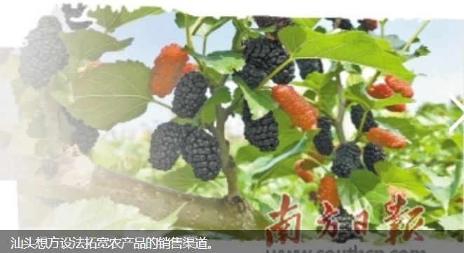 战疫亦战贫汕头在发力