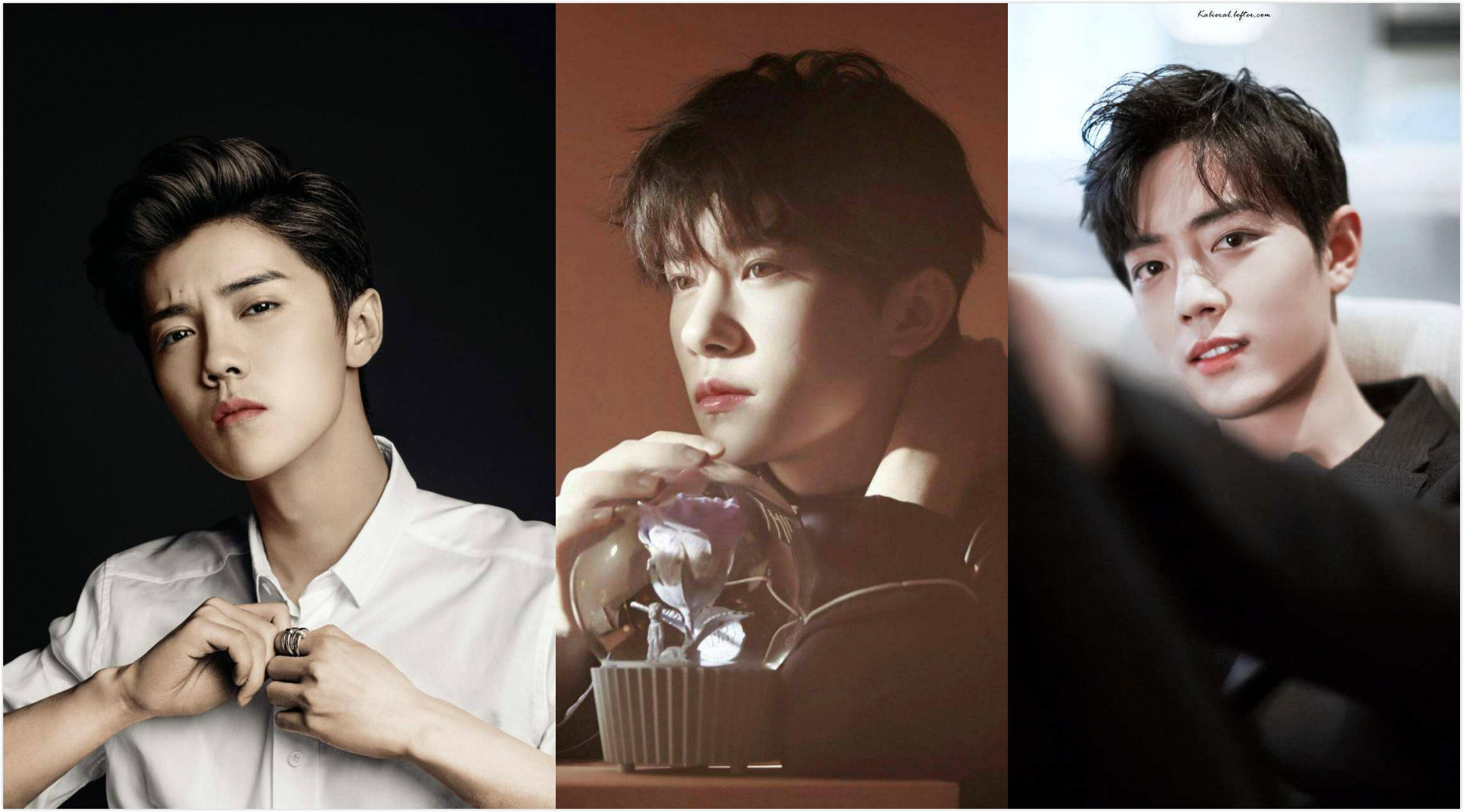 值得重温的十大冷门佳片1995年篇,近十年十部公认最好看的电影