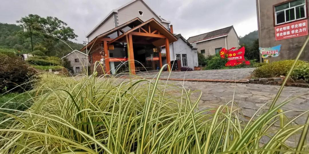 合肥抖音网红打卡景点,合肥100个网红打卡点