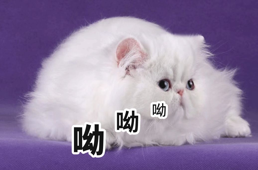 叶檀股票大讲堂,叶檀股票投资思维