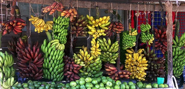 这种水果，是世界上第4大粮食作物，六亿人的救命粮