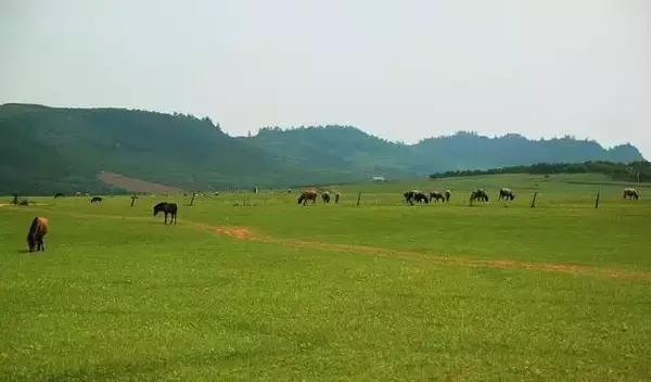 五一小长假昆明周边露营地点推荐,昆明周边户外露营游