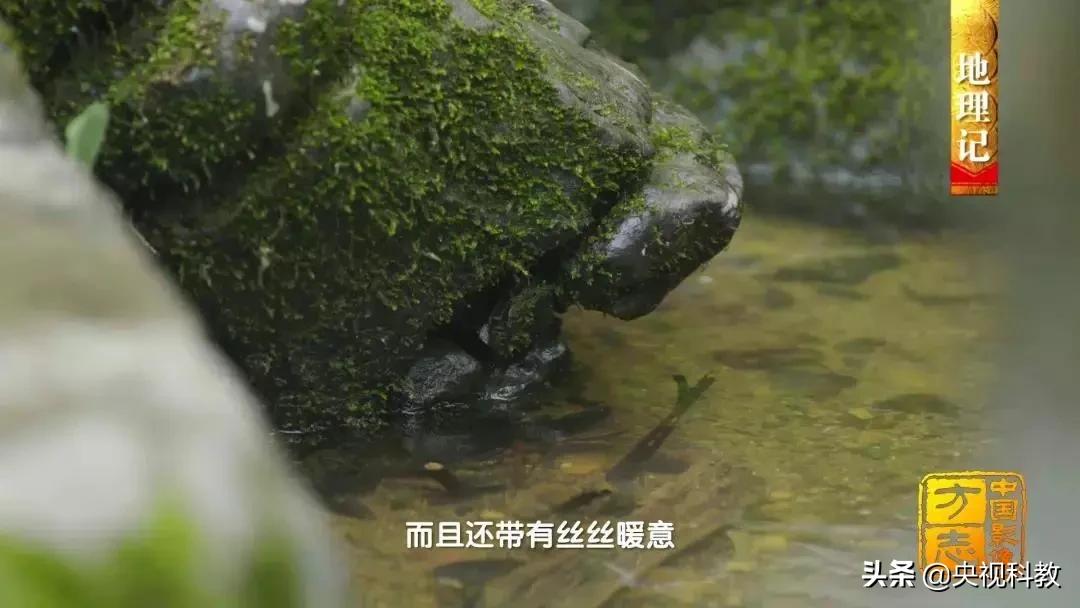 影像方志天峻,中国影像方志四川大竹篇