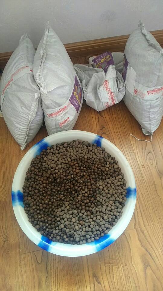 沼泽过滤鱼缸怎么开缸,沼泽缸开缸教程