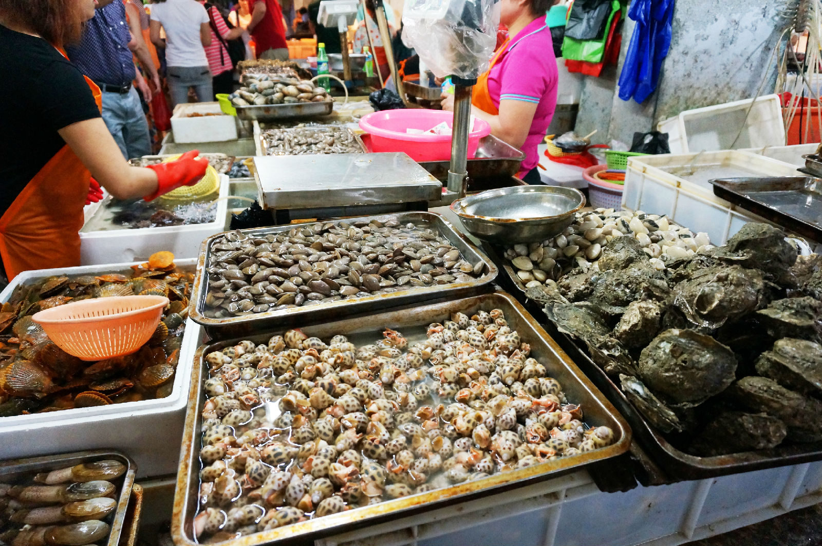 海南租车别克7座每天价格,海南自驾租车最便宜