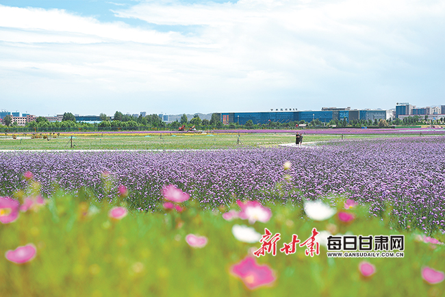 兰州新区打造生态精致新城,兰州新区绿色发展底色鲜亮