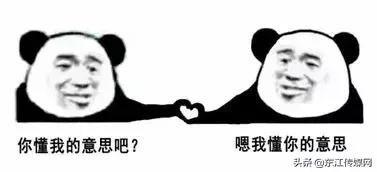 夏天最爱登门拜访惠州人的虫子，满屏全都是惊吓