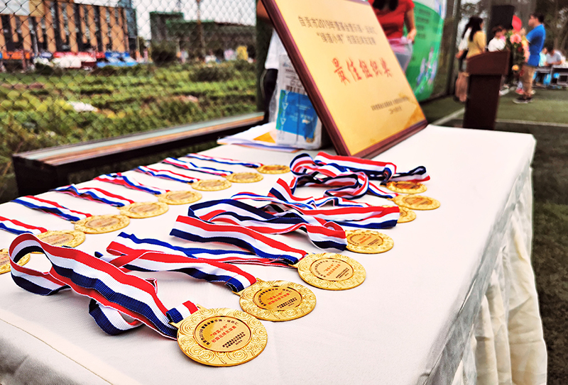 自贡市足球比赛小学生,自贡小学生足球比赛完整版