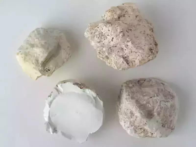 中药学利水渗湿讲解视频,利水渗湿药讲解视频