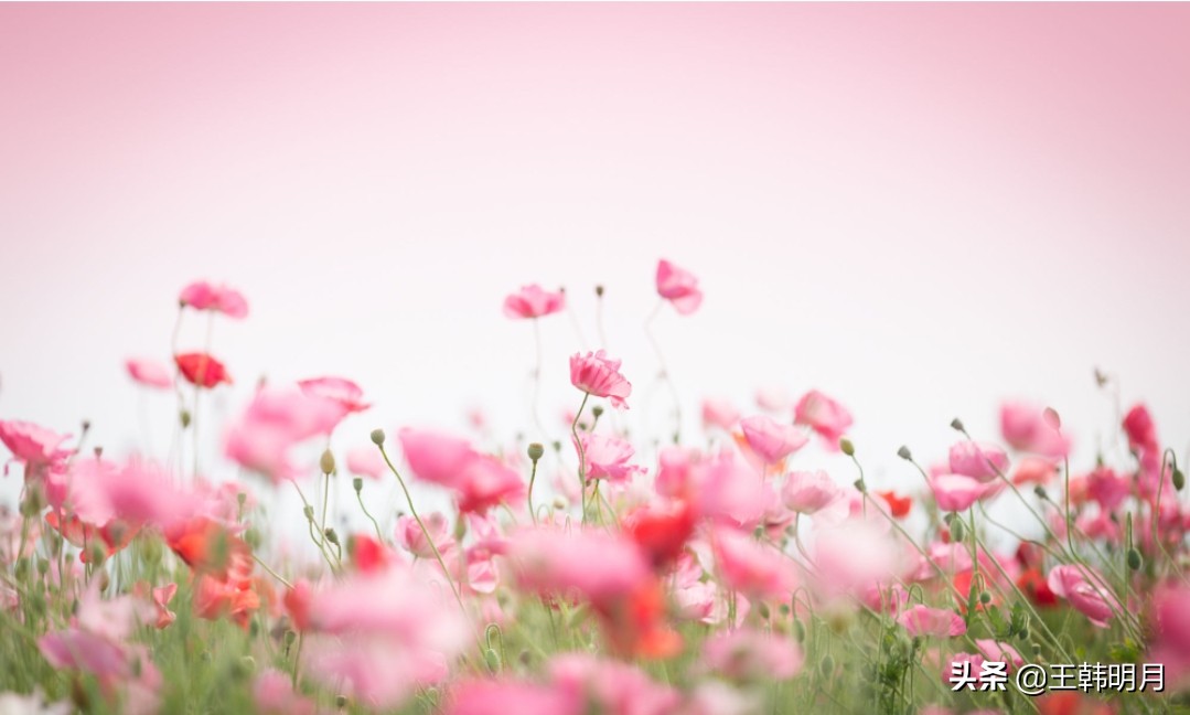 见山是山见水是水见你是世界,见山是山见水是水见你便是全世界