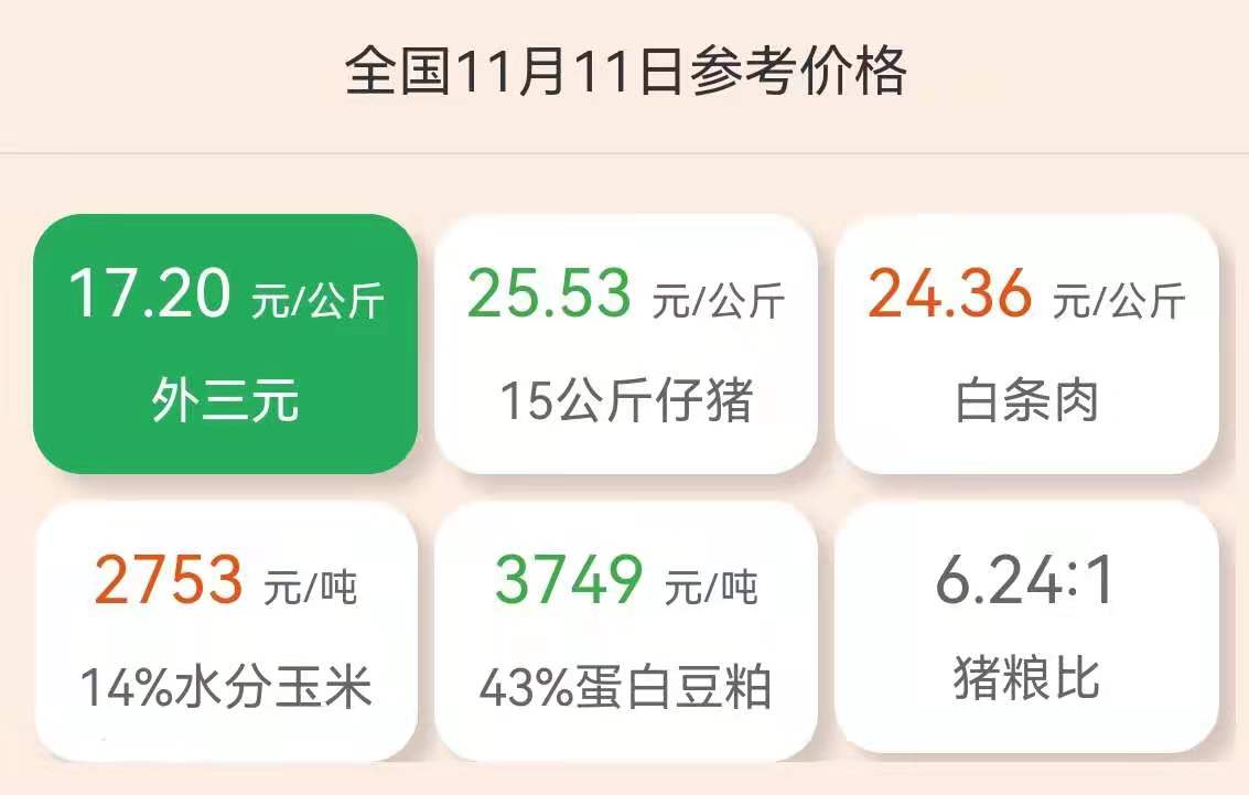 11月11日仔猪价格:倒卖340头仔猪,判刑1年3个月?养猪人注意了