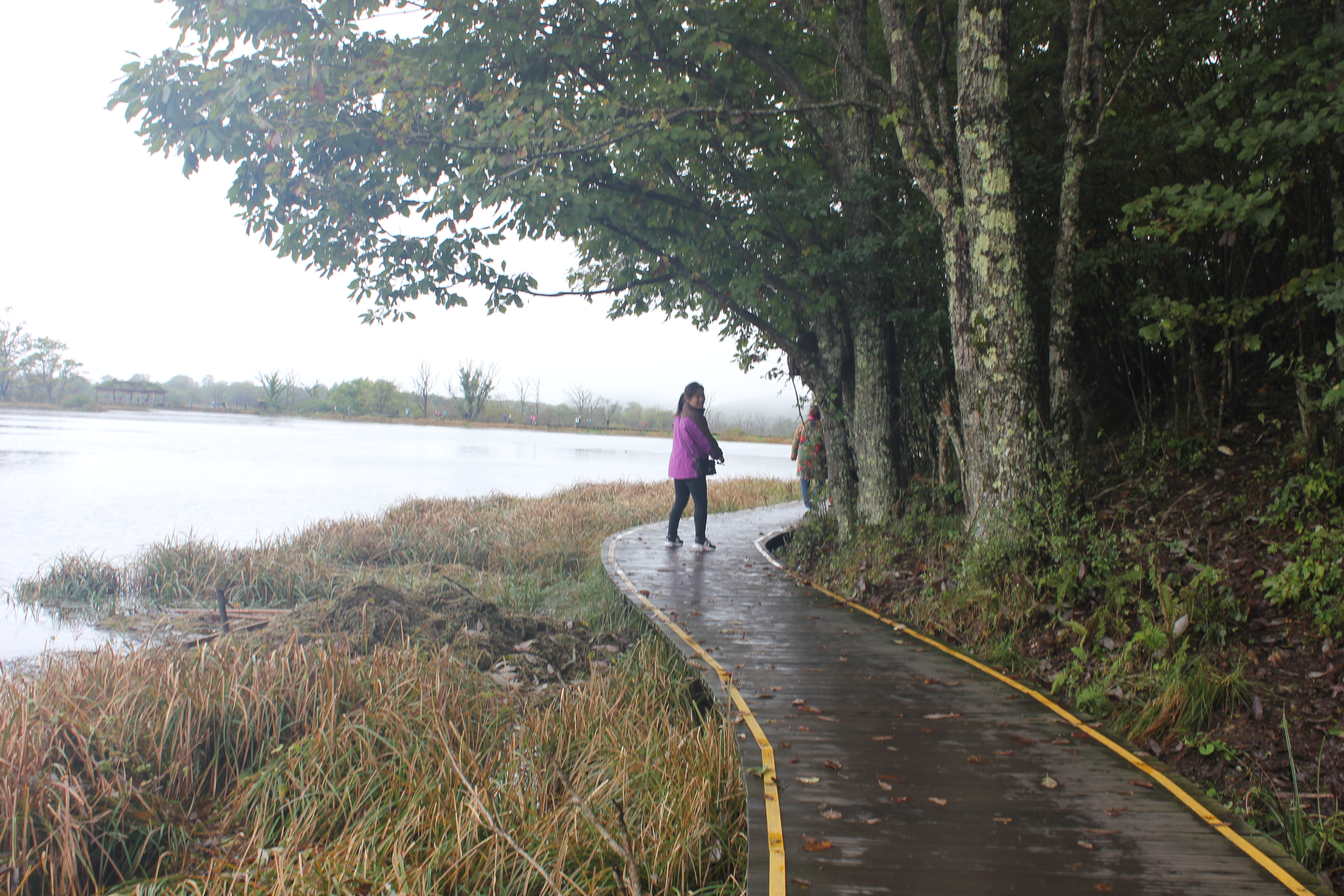 雨中神农架探秘之旅｜国庆节武汉至神农架自驾游攻略分享
