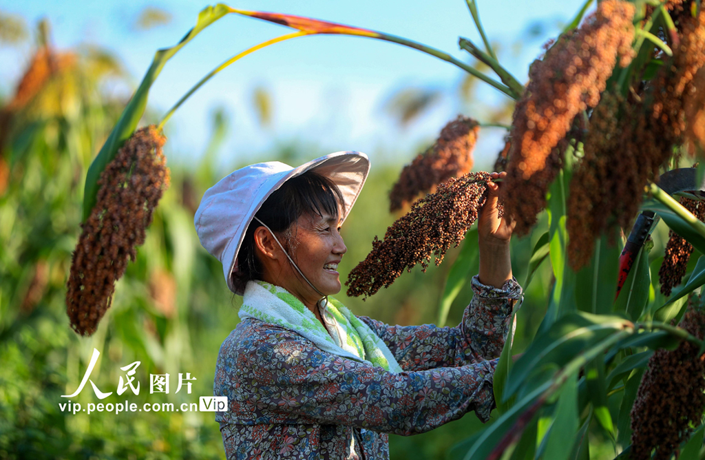 安康市恒口示范区百日大会战,安康市恒口示范区成立始末