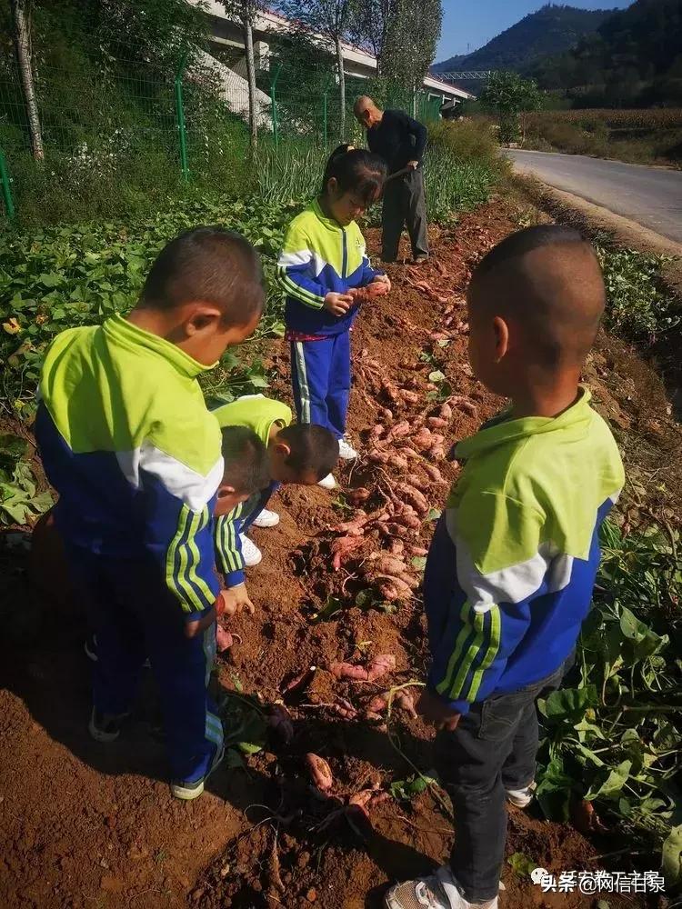 金太阳幼儿园校门,延安市甘泉谢金庄幼儿园