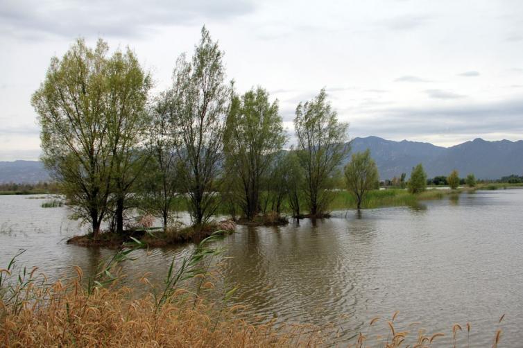 北京到江西婺源自驾游攻略,北京出发贵州自驾游最佳攻略