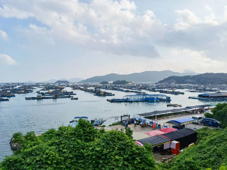 海陵岛吃住行玩,海陵岛旅游攻略美食