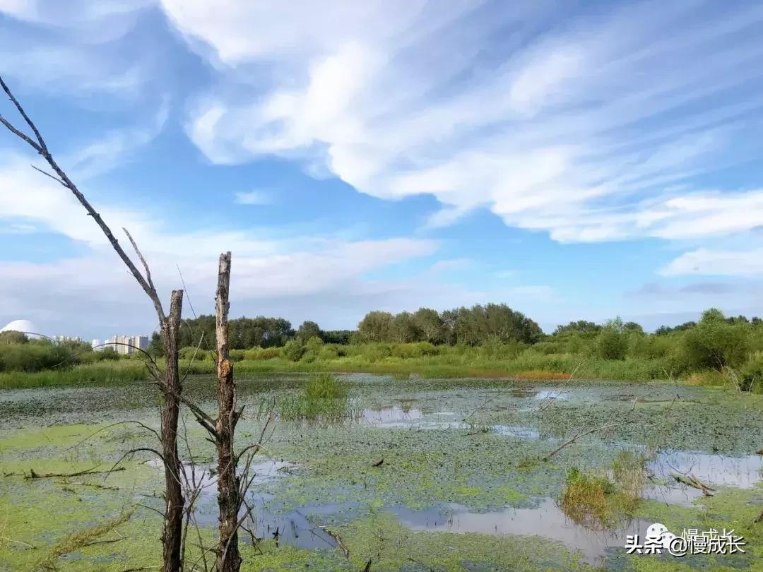 哈尔滨去威海亲子游,哈尔滨旅游攻略亲子游四天三夜