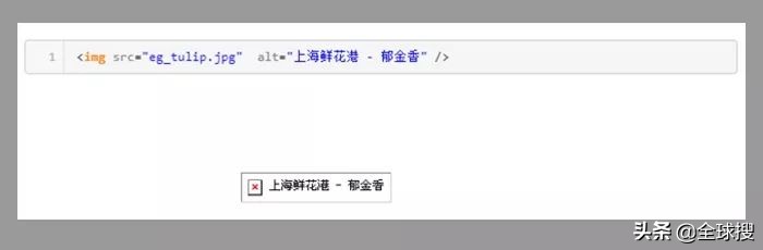 谷歌图片搜索原理,谷歌搜索高清大图