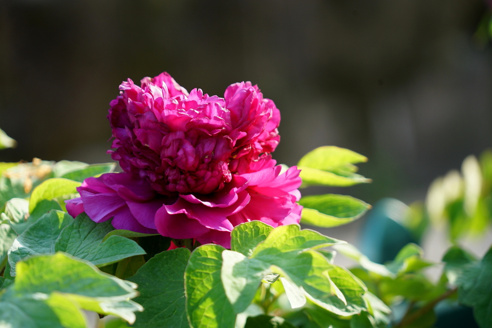 c调口琴太湖美,口琴c调太湖美