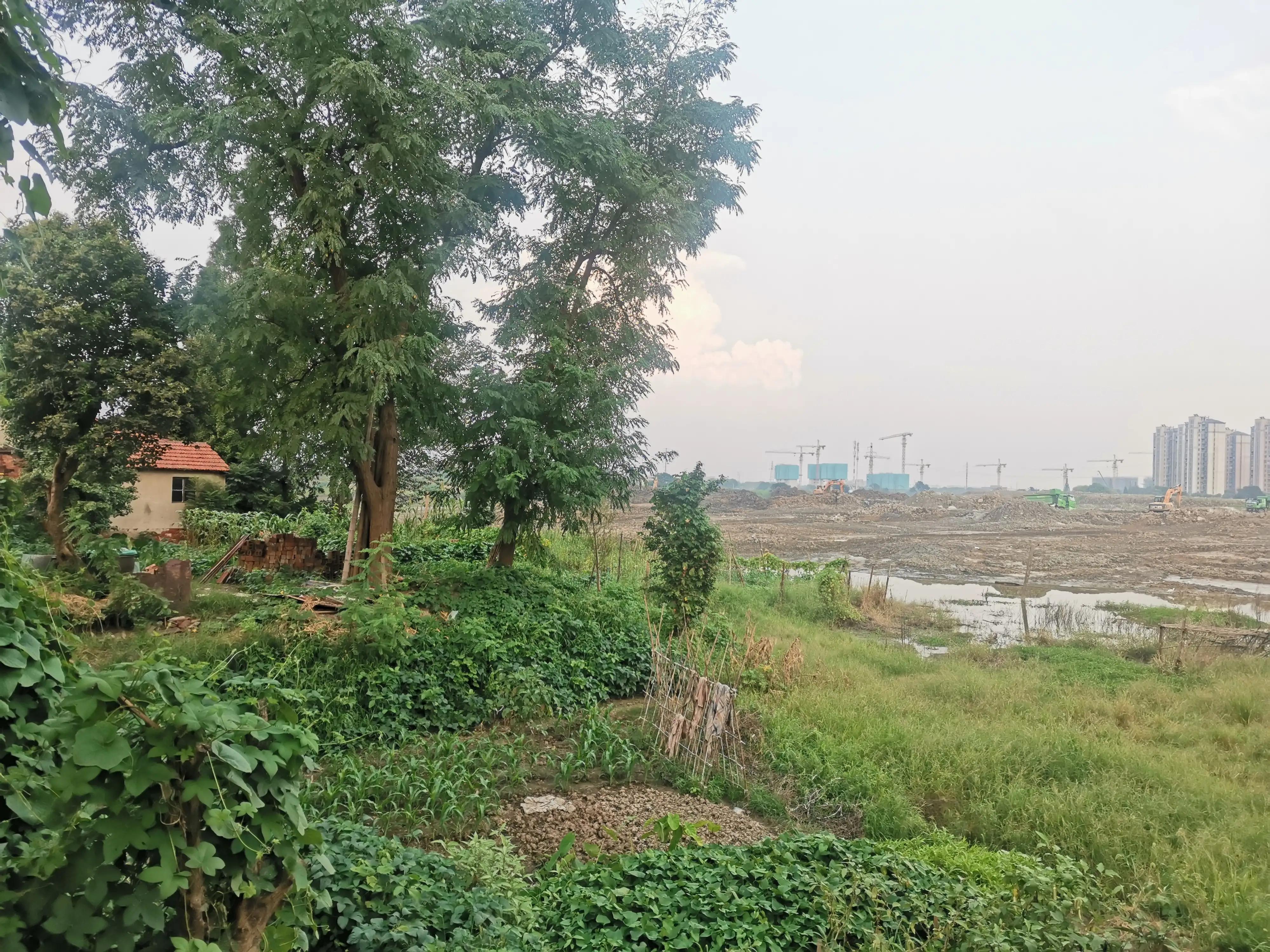 张浦新城最新规划图,昆山张浦发展规划最新消息