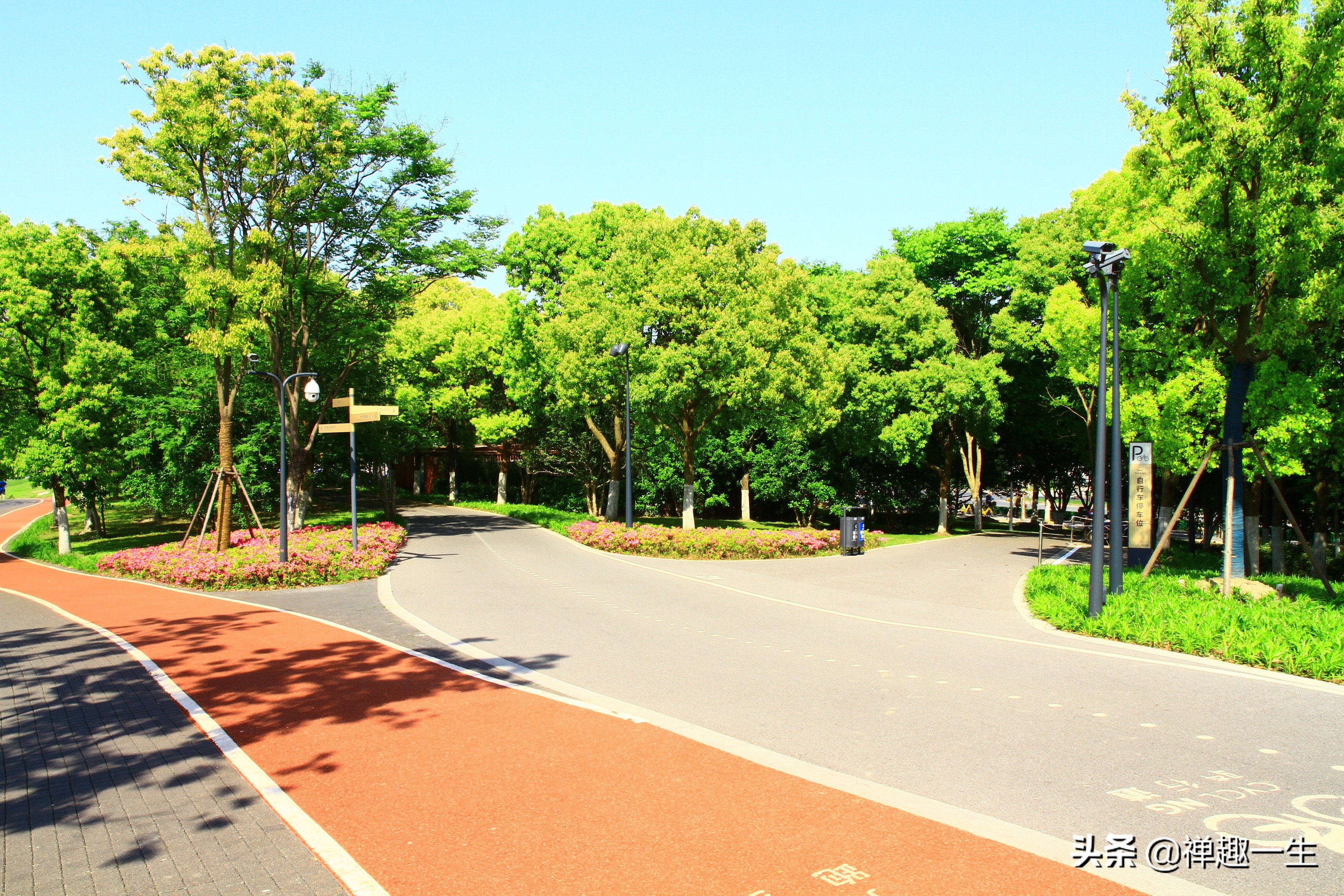 黄浦江滨江公园,黄浦江滨江公园在哪里