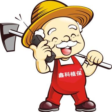 生姜种植前如何防止土传病害,生姜怎么种植防姜瘟