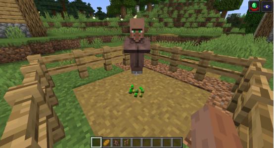 我的世界村民能购买的物品详解,我的世界村民送什么礼物