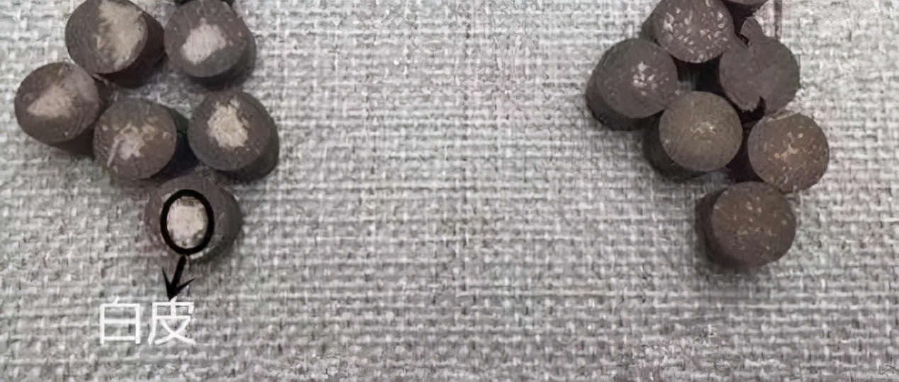 坚韧不屈的植物有哪些,坚韧不屈的植物特点