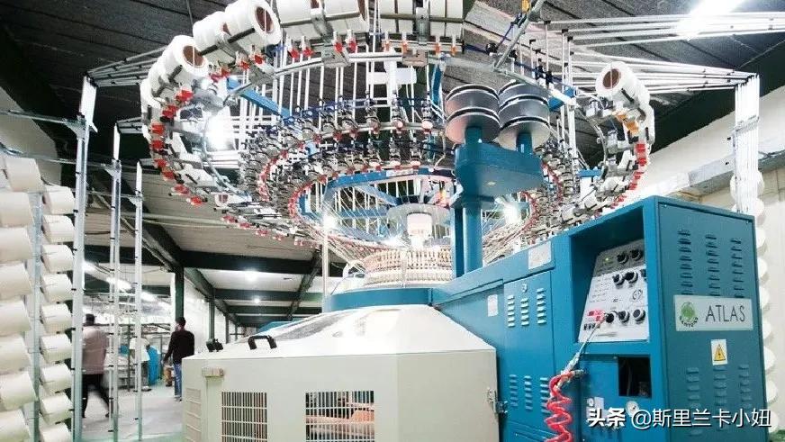 一个从女士内衣说起的故事：不为人知的“小国家，大行业”