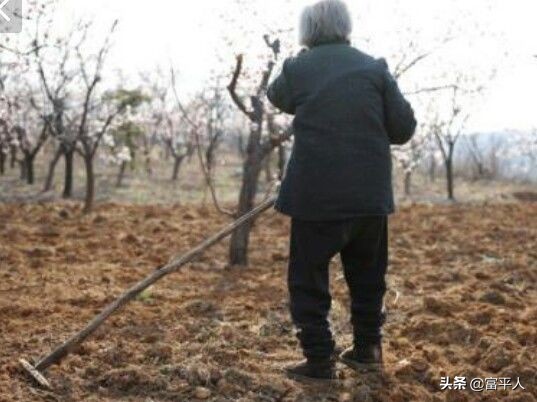 我的奶奶原生家庭,我的奶奶住在大山旁边的小山村里