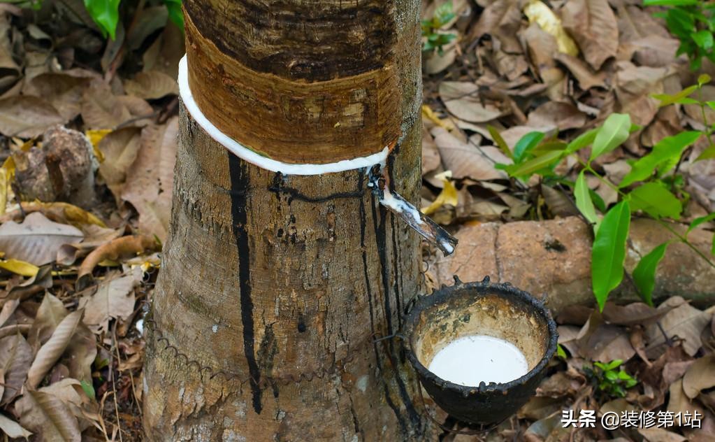 乳胶枕头泰国原装进口好吗,十款值得买的泰国乳胶枕