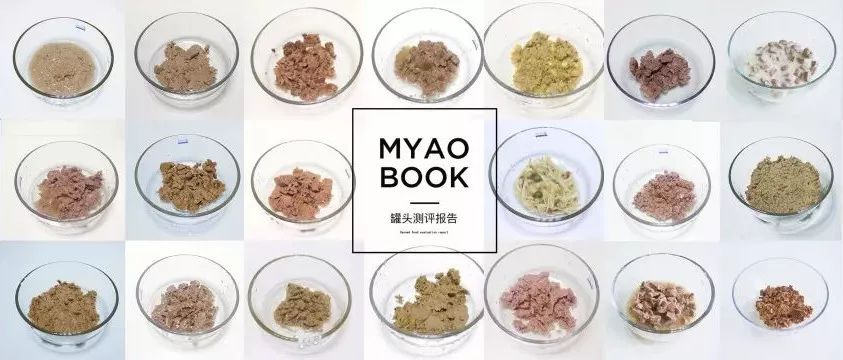 猫罐头推荐主食罐头,好的猫罐头和差的猫罐头区别