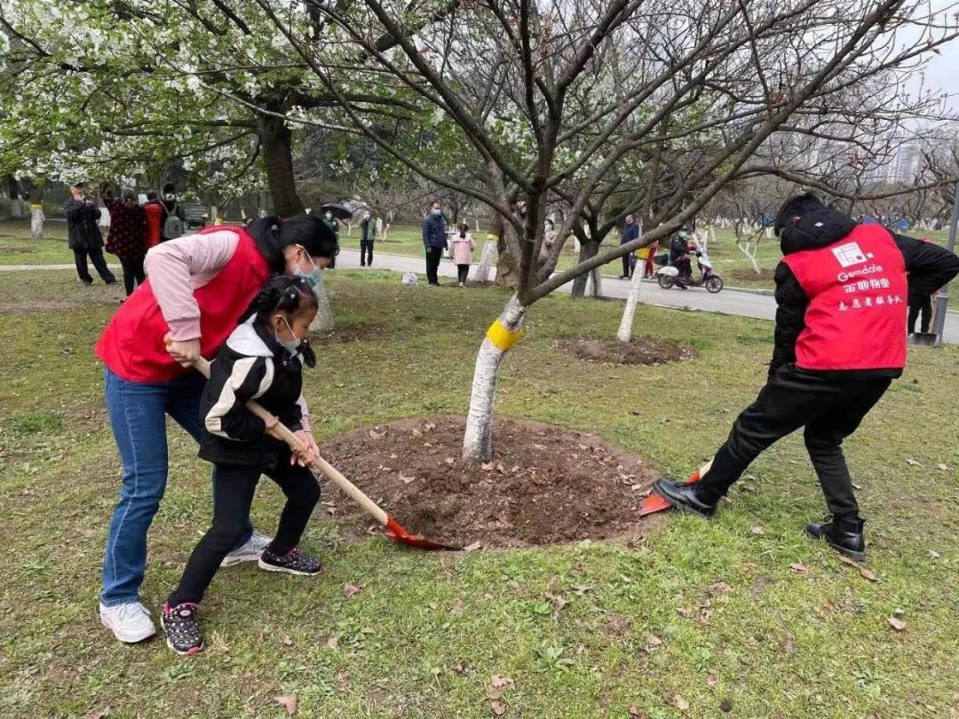 武汉植树高峰期,植树浪潮