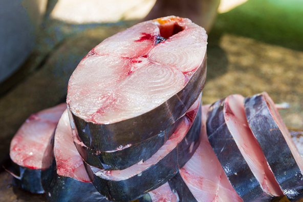 春天的使者马术,春天的使者丁香