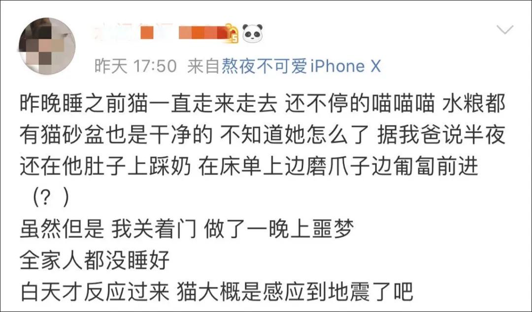 猫地震的时候没有反应,地震了猫会有反应吗