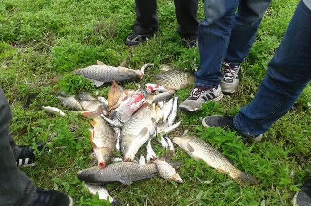 深圳宝安钓鱼免费的地方,现在哪些地方可以免费钓鱼