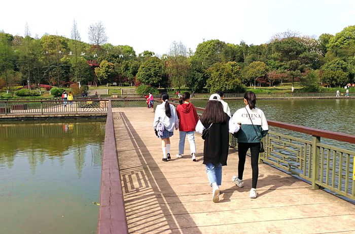 美丽的南湖公园夜景,南湖风景区真的太美了